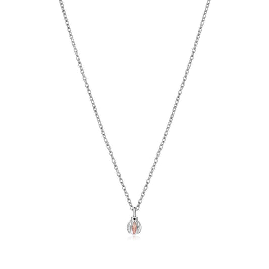 Pakabukas "Barboros širdis" LP1199