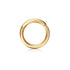Hoop Earring in Yellow Gold