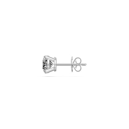 Diamond Stud Earrings in White Gold