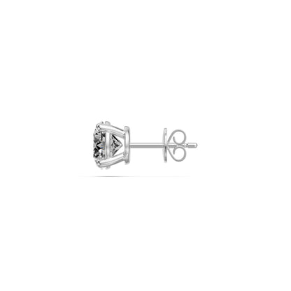 Diamond Earrings in White Gold